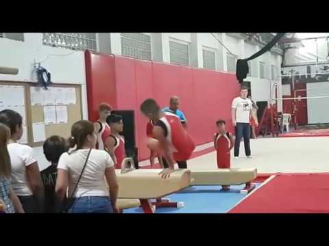 Pommel horse a favourite