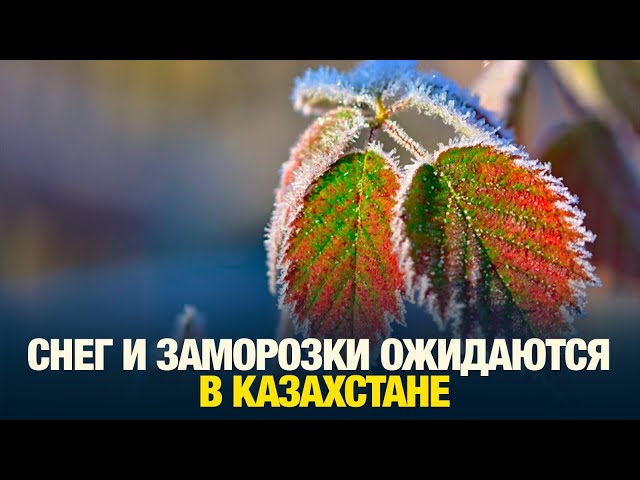 Главные новости 06.09.2024 г.