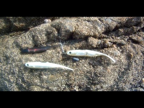 Shore Fishing - Weedless Lure Fishing for Sea Bass