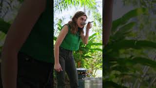 Download lagu Cooking 'Green' Curry with Thailand's Ganja Godfather mp3 Download lagu Cooking 'Green' Curry with Thailand's Ganja Godfather mp3