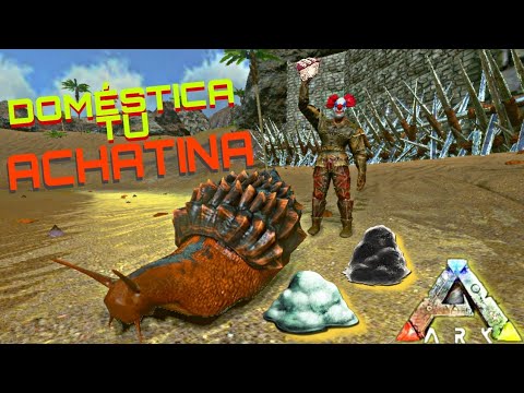 | Ark Mobile | DOMÉSTICA A TU ACHATINA FACIL Y RAPIDO / POLÍMERO Y CEMENTO INFINITO 🤯