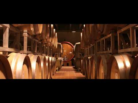 Amarone della Valpolicella Docg Pagus Bisano: 92/100 Vinitaly - 5 STAR WINES AWARD - Produzione.