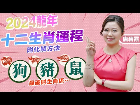2024年生肖運程大全
