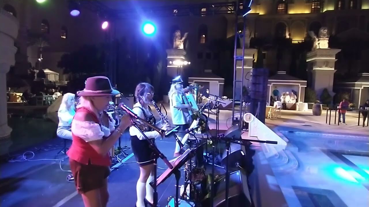 Hire Squeezebox Hero Accordion Player in Las Vegas, Nevada