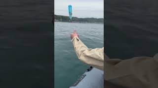 SeafariJapan合同会社
