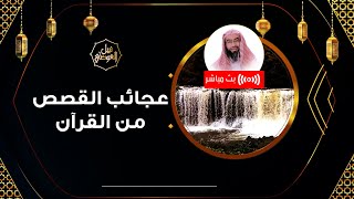 صورة بث مباشر | عجائب القصص من القرآن | نبيل العوضي