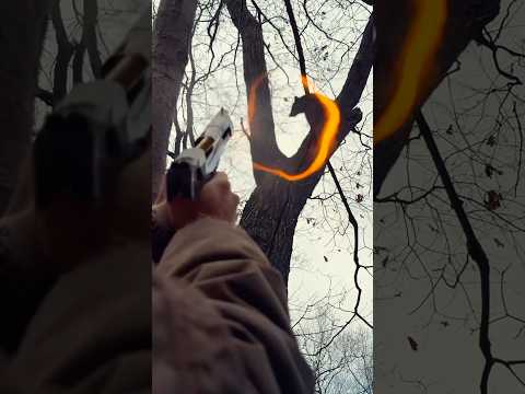 Bear hunting with a Desert Eagle .50 😳