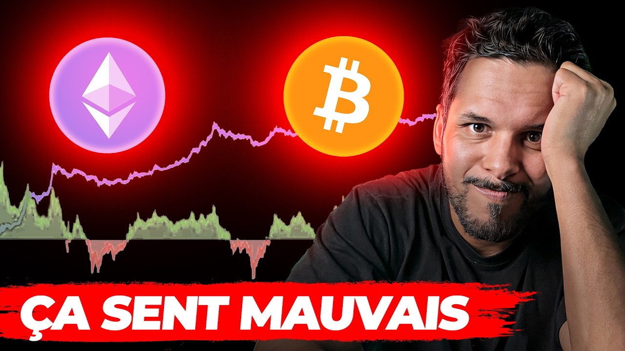 ❌ Crypto : les analystes sont certains : le Bear Market est bel et bien là !