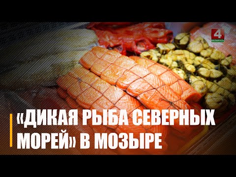 Впервые в Мозыре начал работу передвижной магазин «Дикая рыба северных морей»