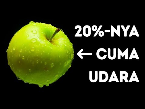 Koleksi Fakta Tak Terduga Paling Komplit