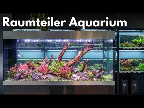 300L Room Divider Aquarium - Oase HighLine 300 OptiWhite