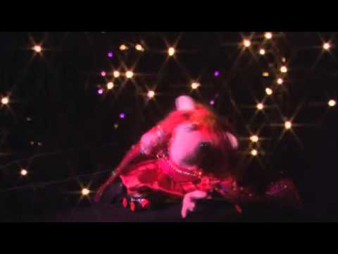 Bol & Smik - Een goede reden