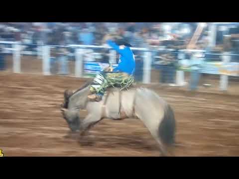 PONGAÍ GRANDE FINAL EM 🐎🤠 CUTIANO 
