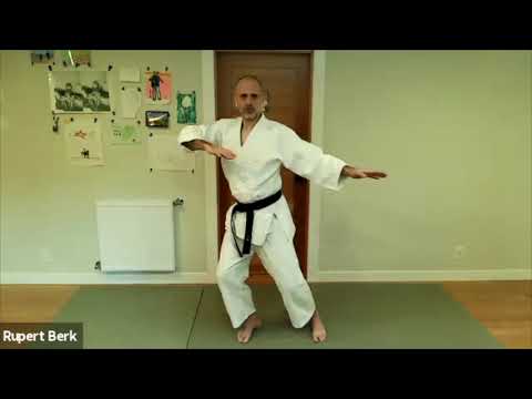 NOLA Aikido Presents a Physical Distancing Seminar with Rupert Berk Sensei 'Ukemi in the Hojo'