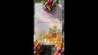 Download lagu Live Haldi Ceremony & Ladies Sangeet of Anant & Smile  Date 03-11-2025 mp3