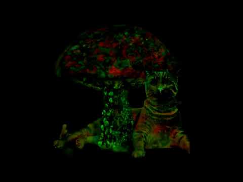 ninelived#1 (prod. David Arcade)