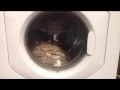 Hotpoint Aquarius WD440