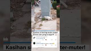 Download lagu Di sangka buruan!? #shorts #shortvideo mp3 Download lagu Di sangka buruan!? #shorts #shortvideo mp3