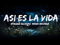 1 Hour |  Enrique Iglesias, Maria Becerra - ASI ES LA VIDA   | Little Lyrics