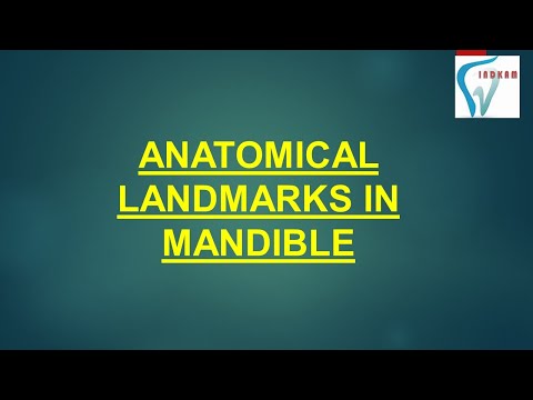 ANATOMICAL LANDMARKS OF MANDIBLE (ENGLISH)
