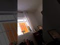 OS BACKYARDIGANS TEMPORADA 3