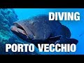 Plongée/ Diving/ Tauchen | Porto Vecchio, Corse