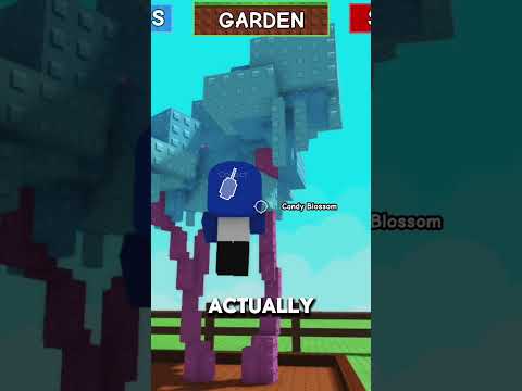 CANDY BLOSSOM IS BACK?