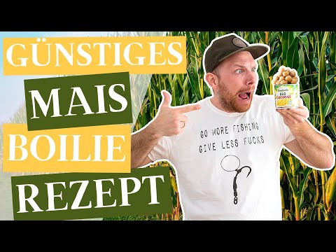 Mais Boilies Günstig Selber Machen - Lockdown Boilie Rezept!
