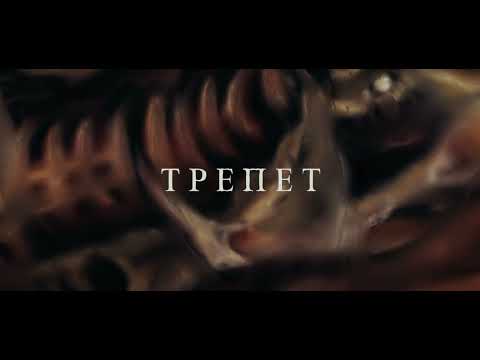 Teaser | Путь, Ignis - Трепет (Awe) | 2022 | Split Album