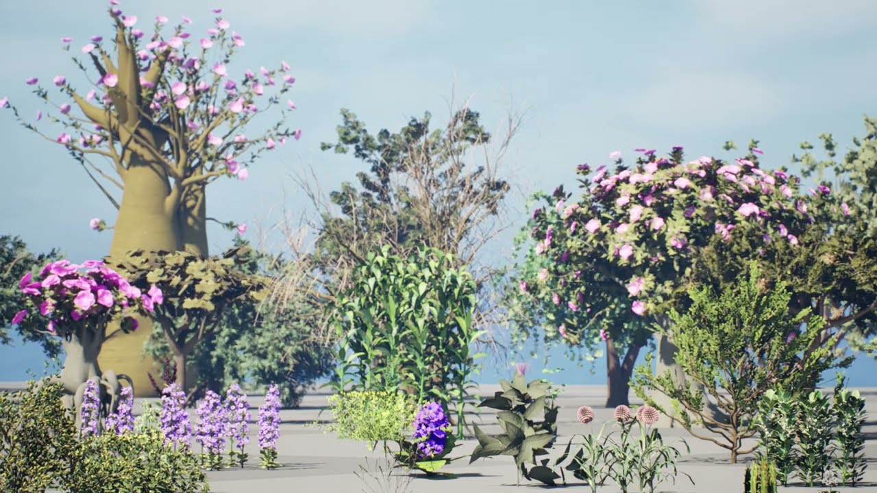 Arabian Plants and Trees 3D Pack 3D Model