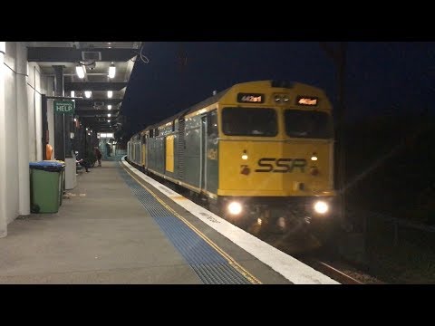SSRs 442s1 and 442s5 lead 1445 through Woy Woy - 14/4/19