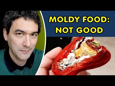 Why you should not eat MOLDY FOOD