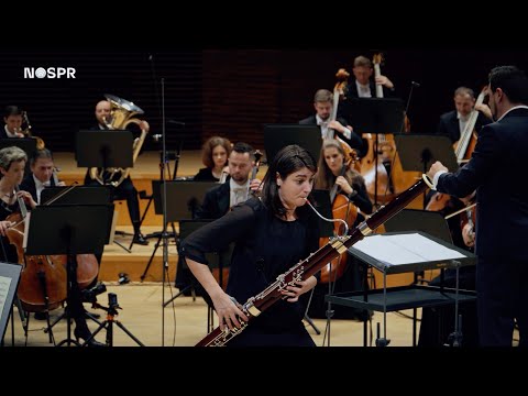 Sophie Dervaux—Michał Spisak—Concerto for bassoon and orchestra