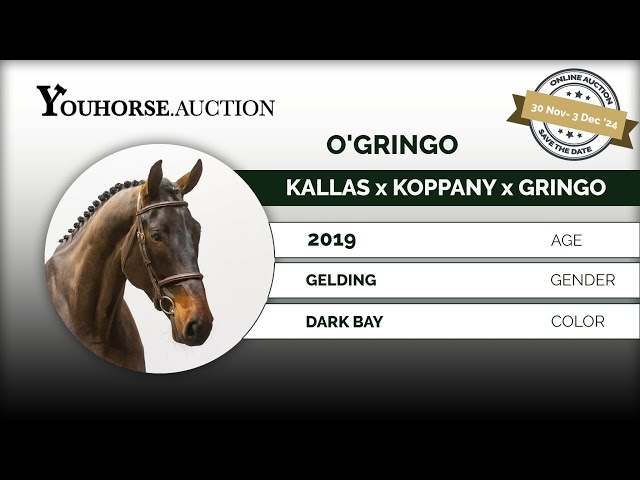 O'Gringo trainingsvideo