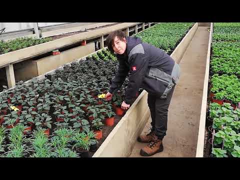 BuSO Sint-Jozef for Strafste school MNM 2019