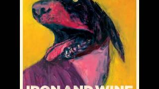 Iron and Wine - Lovesong of the Buzzard