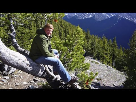 Ray Mears's Northern Wilderness 5 - Koo Koo Sint The Star Gazer (2009)