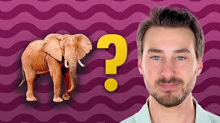 the ELEPHANT in the room ne demek?