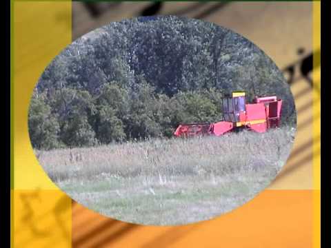 STOJKIC  JOVAN  V  MITANOVIC  DE  DOR