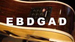 Guinnevere Guitar Lesson (C, S &amp; N)