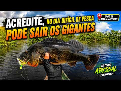 É no dia difícil que os gigantes aparecem. Pescaria no Amazonas lago de Tefé.