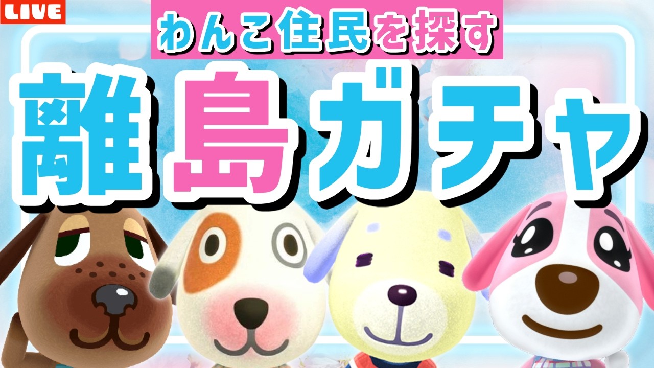 【あつ森】今日も犬住民お迎えできるかな？可愛いわんこ島を作るための離島ガチャLIVE配信【あつまれ どうぶつの森】