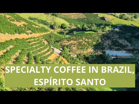 Tourism and production of specialty coffee in Espírito Santo in Afonso Cláudio, Brazil.