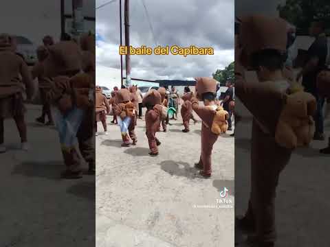 BAILE CAPIBARA este es el. #shortsvira #capybara l