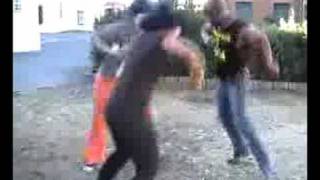 No-man&#39;s land - animals