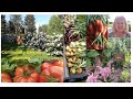 COMMUNITY GARDEN 2023 What S The Plan
