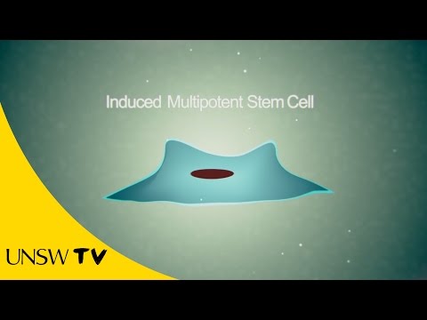 幹細胞治療のブレイクスルー (Breakthrough for stem cell therapies)