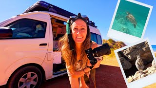 This Is What Happens When You Follow Your Dreams! Van Life Australia