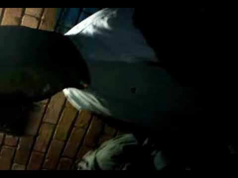 Dsn youngahs and co!