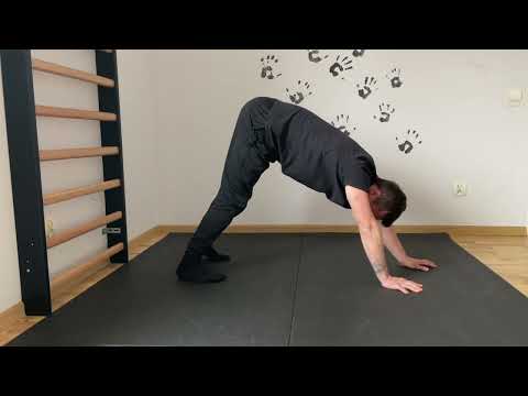 Lokomocje - Niedźwiedzi chód